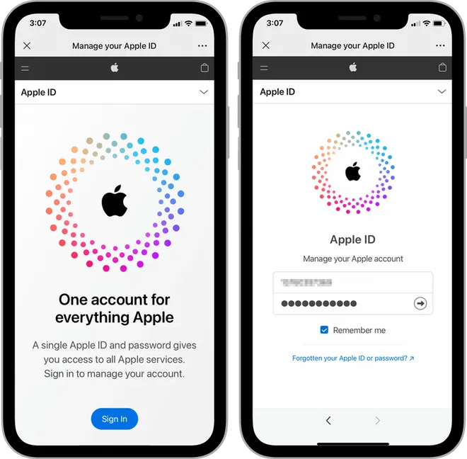 Sign In with Your Apple ID